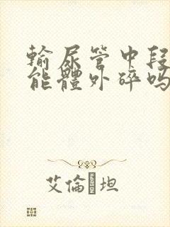 输尿管中段结石能体外碎吗