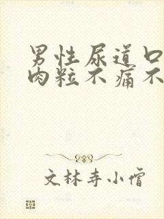 男性尿道口有小肉粒不痛不痒