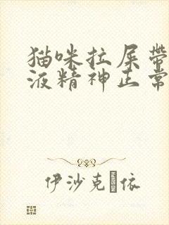 猫咪拉屎带血粘液精神正常