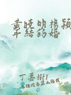 黄晓明杨颖哪一年结的婚