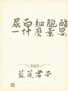 尿白细胞酯酶 —什么意思