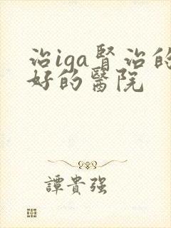 治iga肾治的好的医院