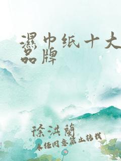 湿巾纸十大排名品牌