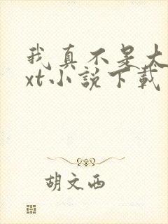 我真不是大佬txt小说下载