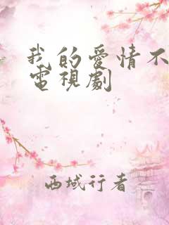 我的爱情不平凡电视剧