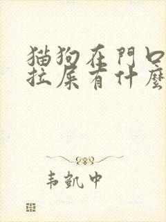 猫狗在门口撒尿拉屎有什么事发生