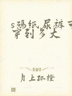 s码纸尿裤可以穿到多大