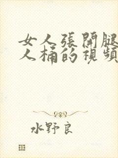 女人张开腿让男人桶的视频