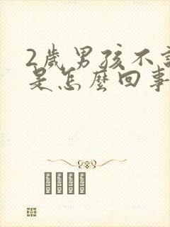 2岁男孩不说话是怎么回事