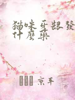 猫咪牙龈发炎用什么药