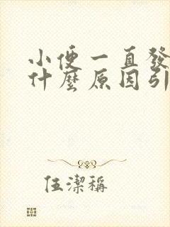 小便一直发黄是什么原因引起的