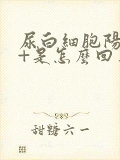 尿白细胞阳性2+是怎么回事