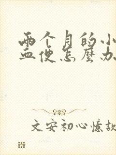 两个月的小狗拉血便怎么办