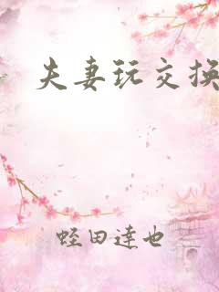 夫妻玩交换小说