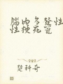 脑内多发性腔隙性梗死灶