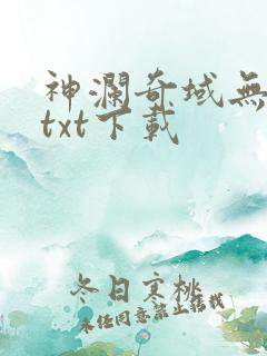 神澜奇域无双珠txt下载
