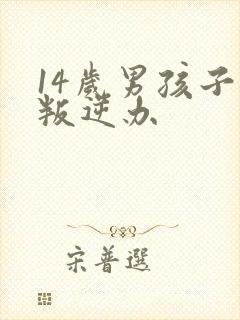 14岁男孩子的叛逆办