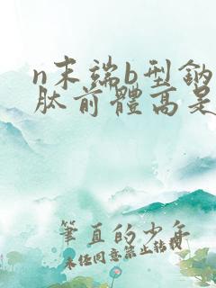 n末端b型钠尿肽前体高是怎么回事