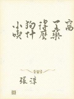 小狗得了窝咳病吃什么药