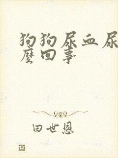 狗狗尿血尿频怎么回事