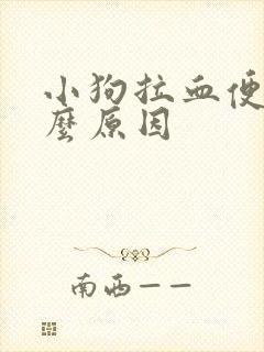 小狗拉血便是什么原因