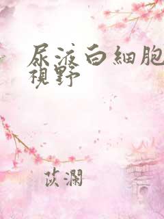 尿液白细胞高倍视野