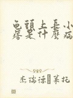 龟头上长小红疙瘩是什么病