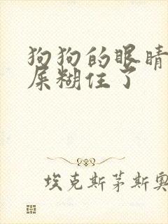 狗狗的眼睛被眼屎糊住了