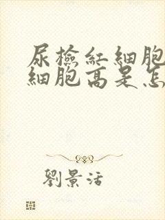 尿检红细胞高白细胞高是怎么回事