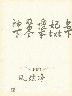 神医傻妃名动天下全本txt下载