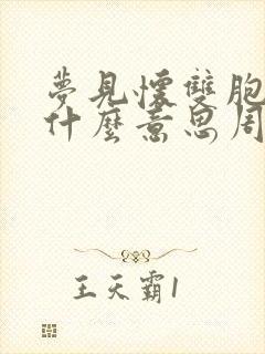 梦见怀双胞胎是什么意思周公解梦