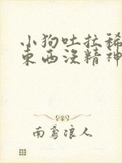 小狗吐拉稀不吃东西没精神怎么办