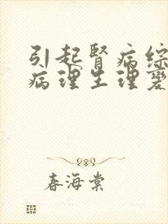 引起肾病综合征病理生理变化最主要的原因是