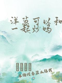 洋葱可以和包菜一起炒吗