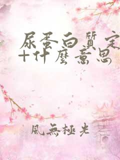 尿蛋白质定性1+什么意思