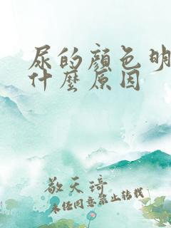 尿的颜色明黄是什么原因