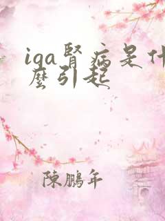 iga肾病是什么引起