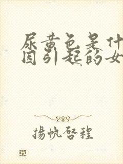 尿黄色是什么原因引起的女