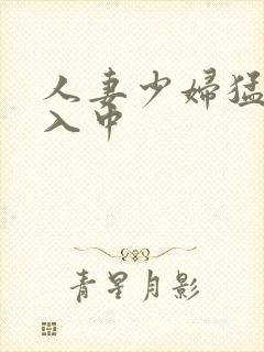 人妻少妇猛烈进入中