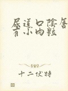 尿道口阴唇内侧有小肉粒