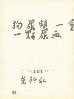 狗尿频 一会尿一点尿血