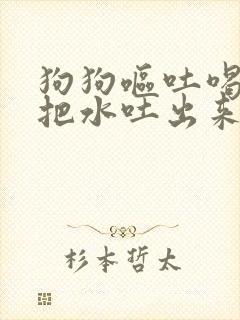 狗狗呕吐喝水了把水吐出来了