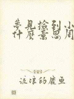 梦见捡到小钱是什么意思周公解梦