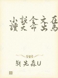 小说全文在线阅读天命出马仙