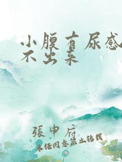 小腹有尿感却尿不出来