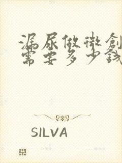 漏尿做微创手术需要多少钱