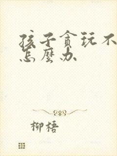 孩子贪玩不学习怎么办