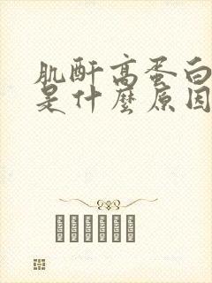 肌酐高蛋白尿高是什么原因