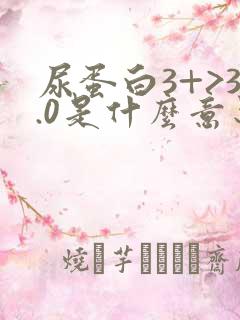 尿蛋白3+>3.0是什么意思