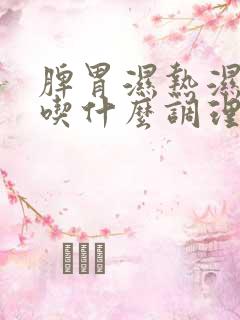 脾胃湿热湿气重吃什么调理